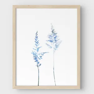Blue Wildflower