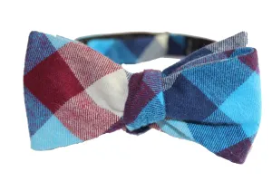 Dorman Check Blue/Burgundy