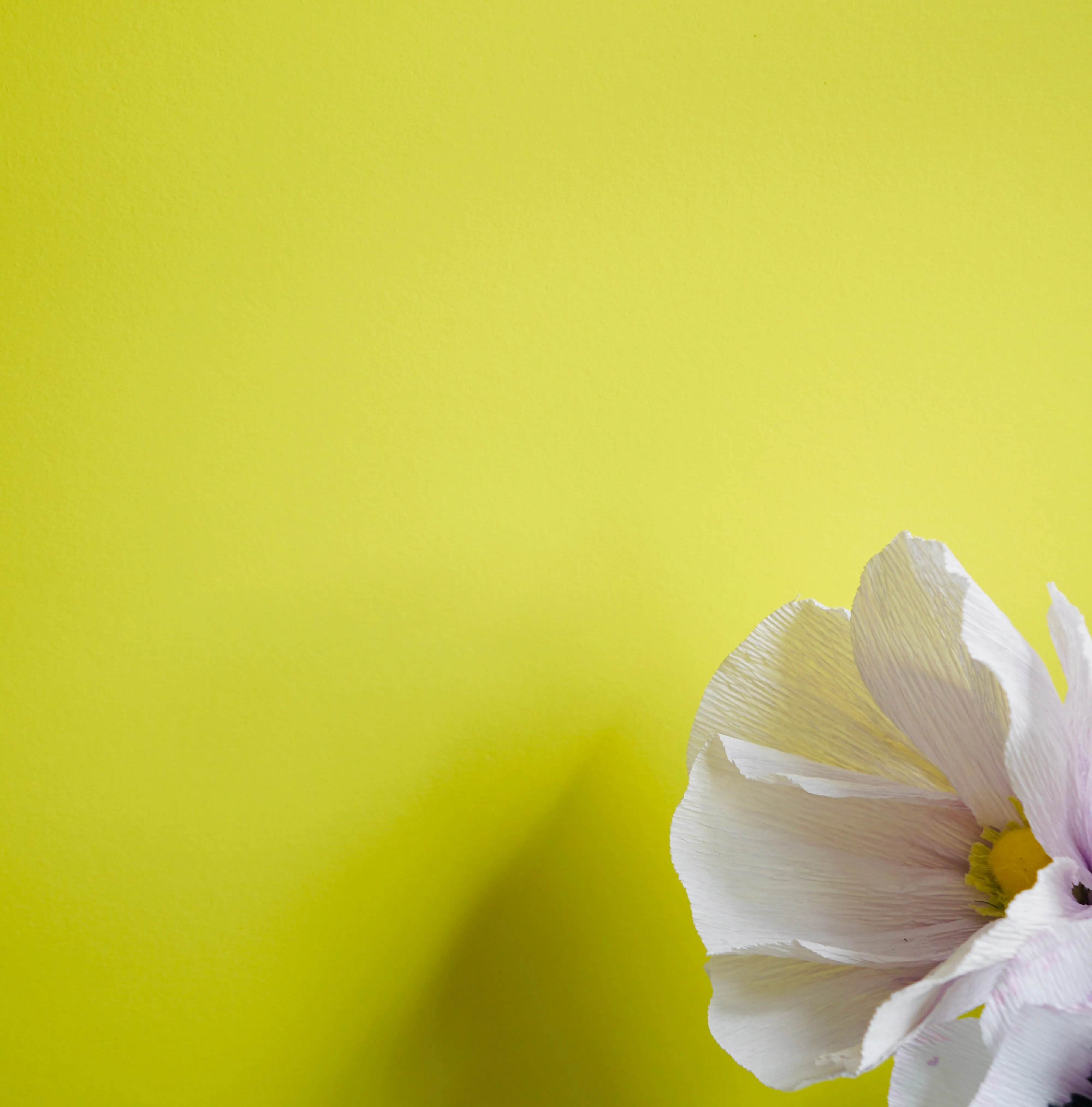 Electric Yellow paint swatch
