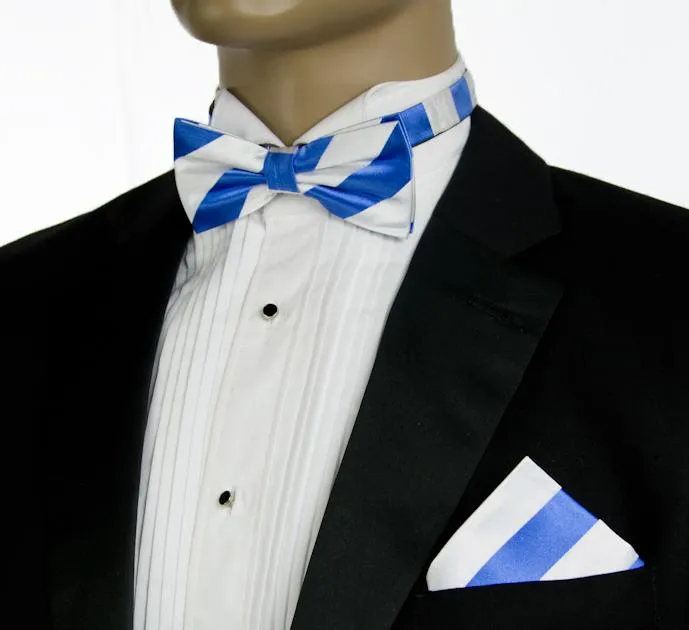 Sky Blue and White Silk Bow Tie