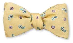 Yellow Lancaster Neats Bow Tie - B5464